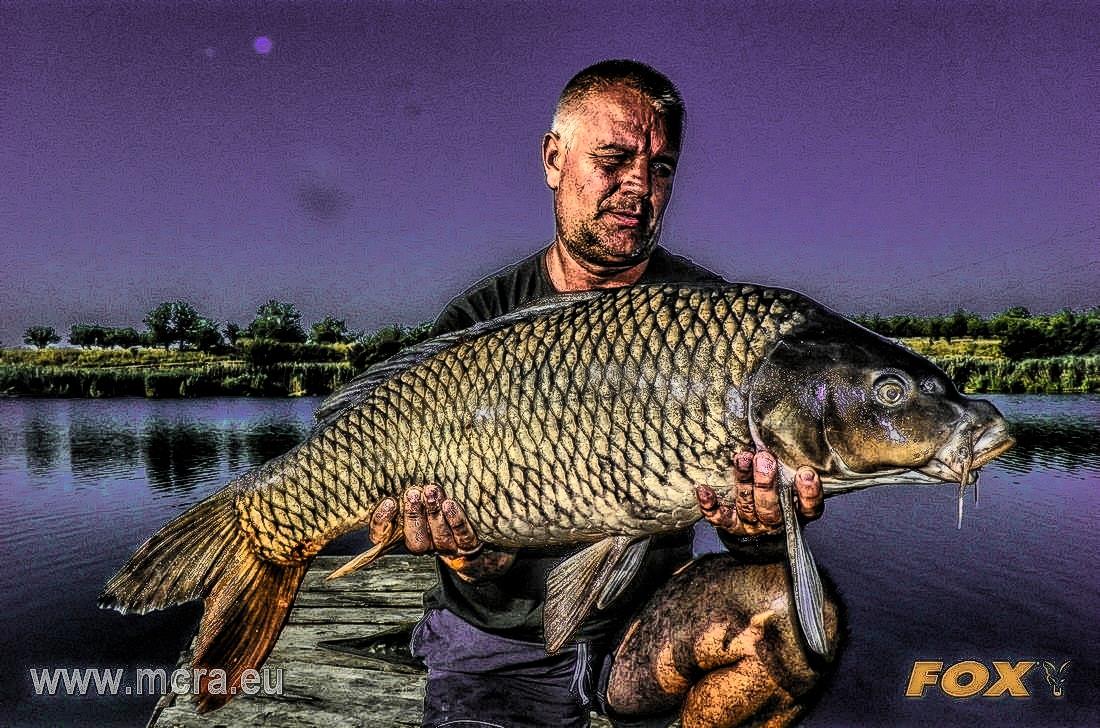 MeetCarp Romanian Awards 2013 (2) - 1017127hdrmode2.jpg